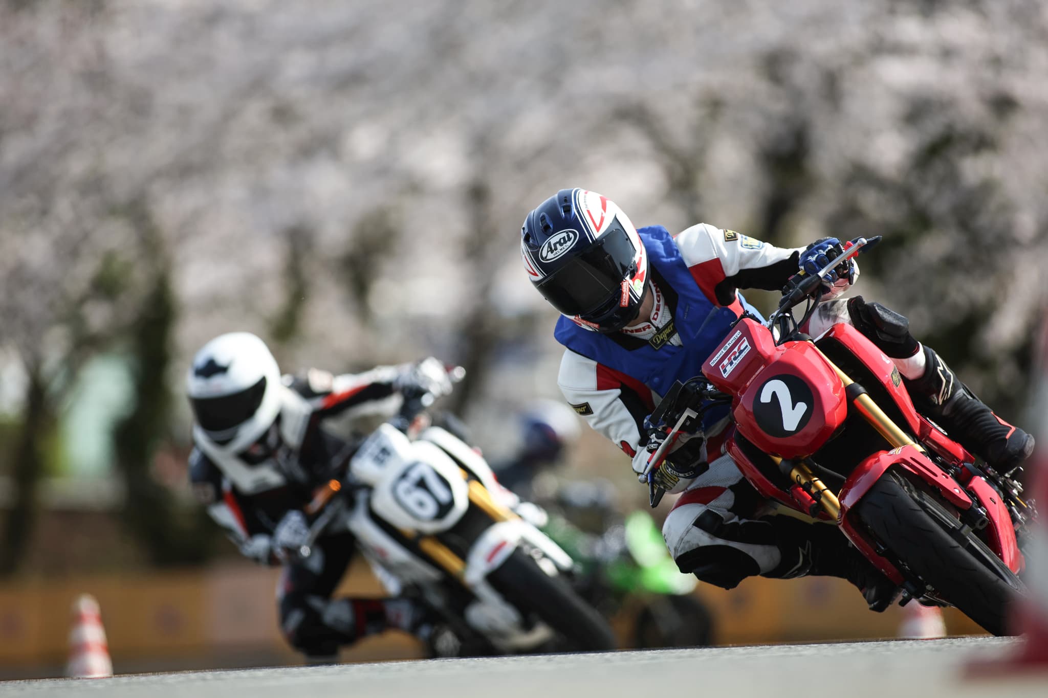 SAGA CUP