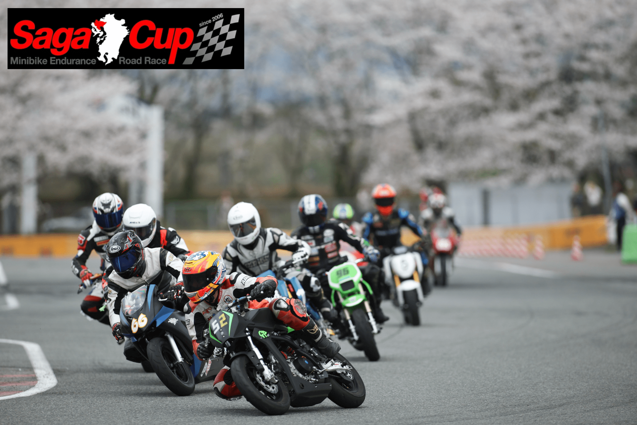 SAGA CUP