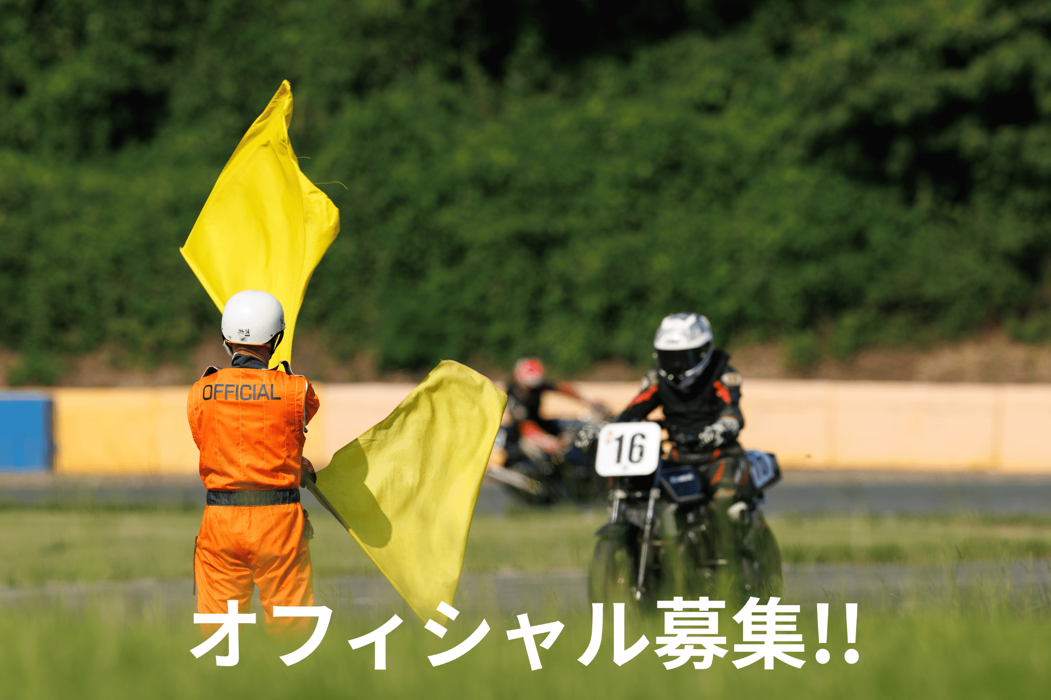 オフィシャル募集!!